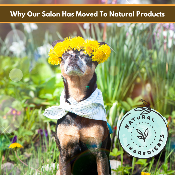 🍃 Why Our Salon Has Moved To Natural/ Organic Products 🍃