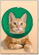 Soft Paws® E-Collar for Cats & Small Dogs