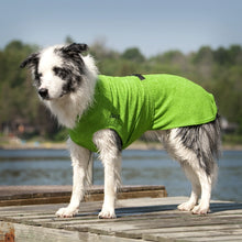 Load image into Gallery viewer, Chilly Dogs Soaker Robe
