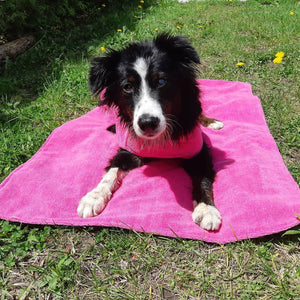 Chilly Dogs Soaker Mat