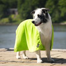 Load image into Gallery viewer, Chilly Dogs Soaker Bath Towel
