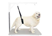 Load image into Gallery viewer, Show Tech Comfort Bellybands- for Small &amp; Big Dogs
